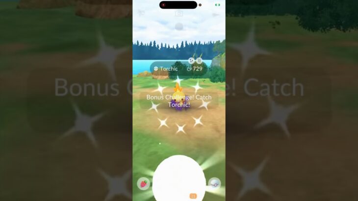 ✨WOW! Shiny Shadow Torchic CAUGHT In Pokemon Go!✨ #shorts #pokemon