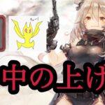 【メメントモリ】命中の上げ方！バトリレジェリで重要【メメモリ】
