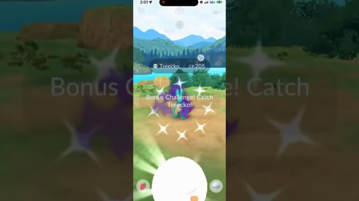 ✨WOW!!! RARE Shiny Shadow Treecko CAUGHT in Pokemon Go!✨ #shorts #pokemon