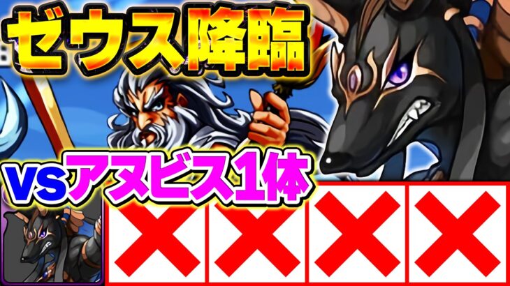 【地獄】進化前アヌビス1体縛りでゼウス降臨をクリアする。【パズドラ】