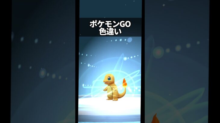 【ポケモンGO】色違いヒトカゲ進化させる #pokemon #pokemongo #ポケモン