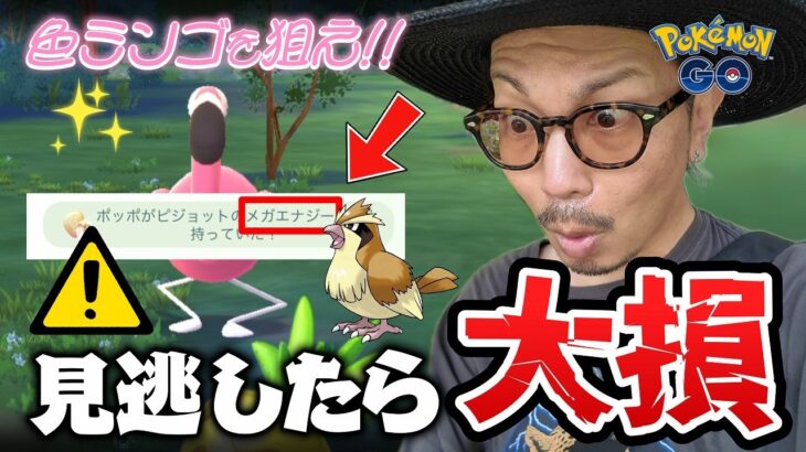 【ポケモンGO】絶対に捕まえろ！！色違いカラミンゴの効果的な狙い方を調査してみたら・・・！？【チームメガ】
