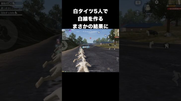 白タイツ5人で白線を作る　#荒野行動