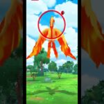 遂に色違いガラルファイヤー出現！！ #ポケモンgo #野生 #激レア #色違いガラルファイヤー