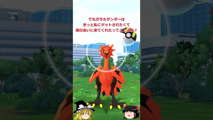 【ポケモンGO】ガラルサンダー連日出現？ゲットしたも同然‼(ガラル 3鳥チャレンジ184回目)【ゆっくり実況】#shorts
