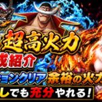 [トレクル]9月討伐祭スタート！月末無し、無特攻超高火力編成紹介！ミッションなんて余裕の火力！[OPTC][討伐祭]