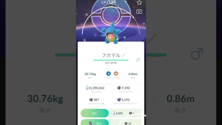 [PokemonGO] フカマル復刻コミュデイ スペシャル背景色違いゲット！ #ポケモンgo