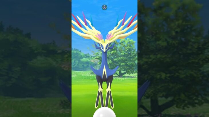 DON’T MISS TODAY’S RAID ROTATION IN POKÉMON GO!