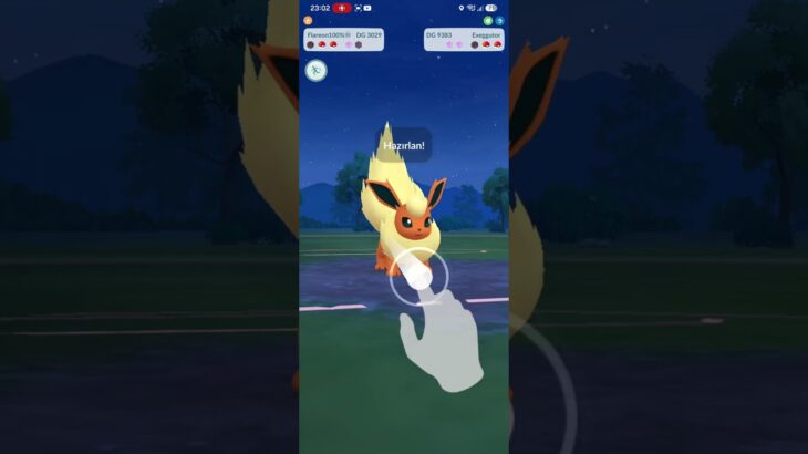 Pokemon Go