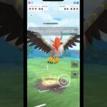 メガムクホークを使ってみたけど… #ポケモンgo  #gbl #ハイパーリーグ