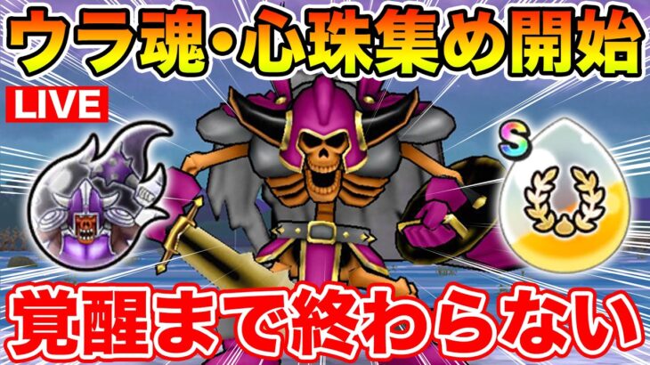 【ドラクエウォーク】新千里行ヴァルハラー編周回開始!! ガンガン魂と心珠集めていくぞ!!【DQW】