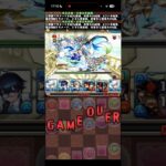 11万しかないよ！？【パズドラ】