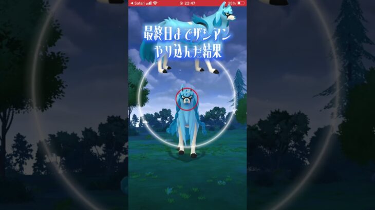 色違いザシアンかっこいい！【ポケモンGO】 #ポケモン #ポケモンgo #shorts