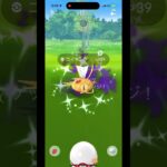 【ポケモンGO】激レア‼︎  シャドウコイキング色違い‼︎ ロケット団したっぱ