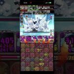 協力！スノーフィー 降臨!【超重力】風雪獣∞級　#パズル　#パズドラ　#降臨　#イベント　#超重力