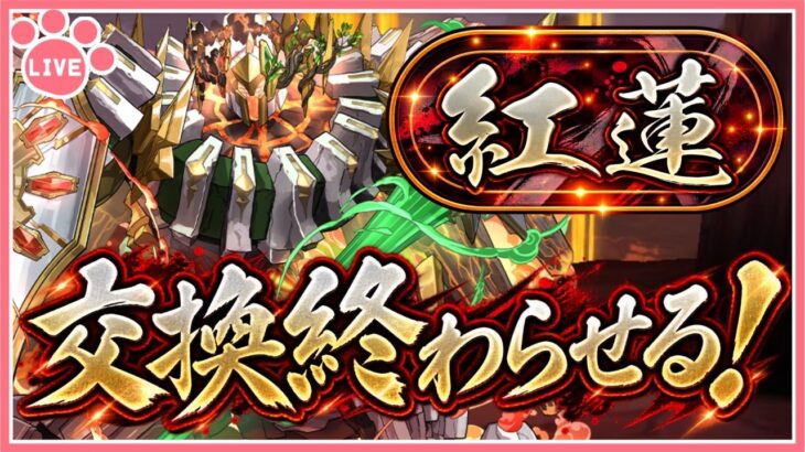 【パズドラ】紅蓮の周回終わらせる！【雑談】