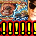 [トレクル]スゴフェス第2弾開幕! おい! なんでだよ!!!!!!? いい加減にしろよ酒場[OPTC][sugo fest]