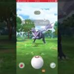 キュレム2026.8.1 #pokemongo #ポケモンgo #ポケモン