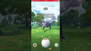 キュレム2026.8.1 #pokemongo #ポケモンgo #ポケモン
