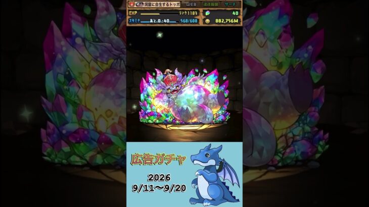 [パズドラ]  広告ガチャ　2026/9/11〜9/20