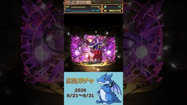 [パズドラ]  広告ガチャ　2026/8/21〜8/31