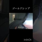 ゴールドシップ #ウマ娘プリティーダービー #ウマ娘 #ゴールドシップ