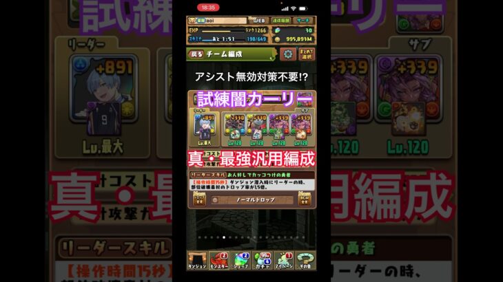 『試練闇カーリー』真・最強汎用編成はこれ！【パズドラ】