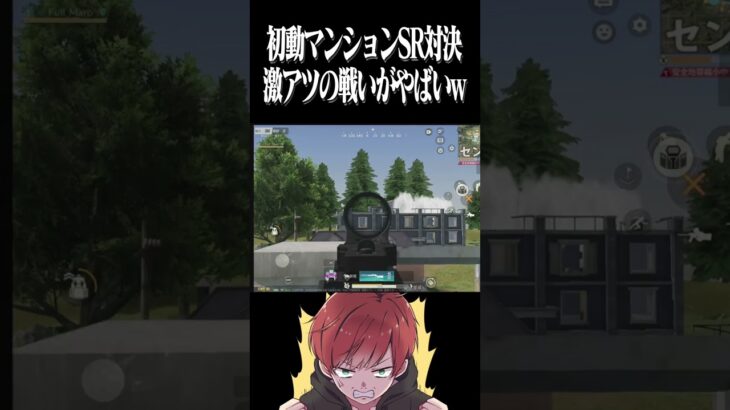 【荒野行動】男のSR対決が面白すぎたwwwww #まろ　#荒野行動　#shorts