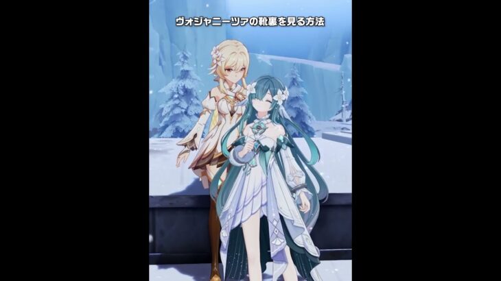 【原神】ヴォジャニーツァの靴裏を見る方法