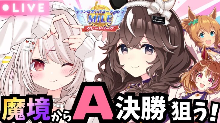 【ウマ娘】ラウンド２！勉強家で育成した3人でA決勝を狙いたい！9月マイルチャンミ先行３でいきます！LIVE配信【ウマ娘プリティーダービー】