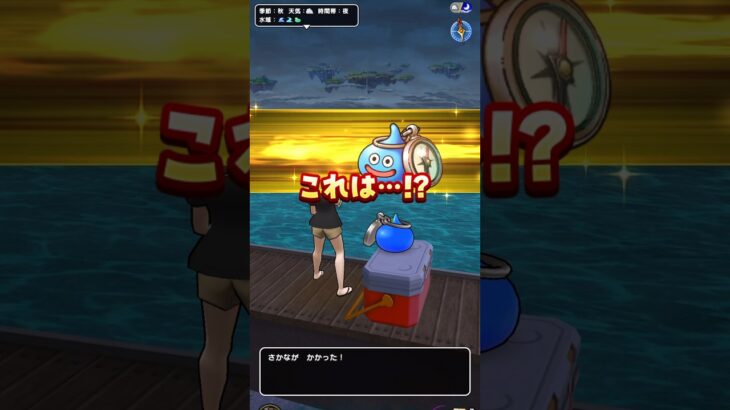 【ドラクエウォーク🎣釣り】釣れて嬉しかった魚【１週間目】