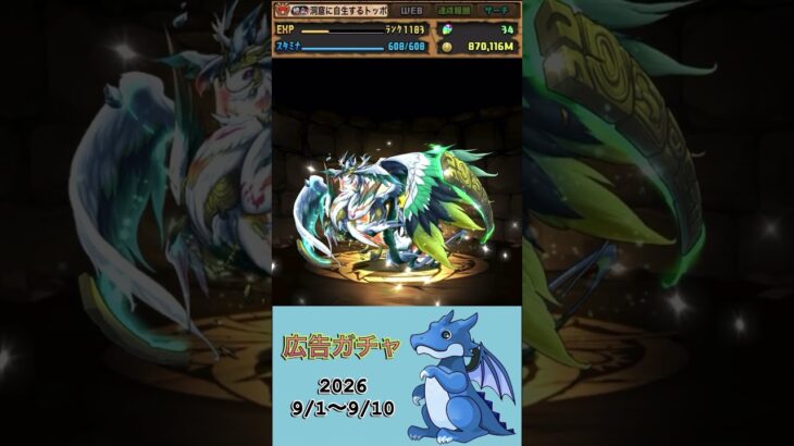 [パズドラ]  広告ガチャ　2026/9/1〜9/10