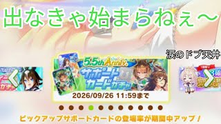 無料100連SSR悲惨だったから…【ウマ娘プリティーダービー　ピックアップガチャ泥沼天井】カネドブ天井じゃ！