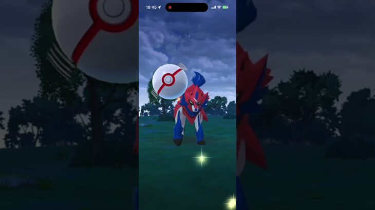 家族三人でザマゼンタ（れきせん）討伐 #ポケモンgo