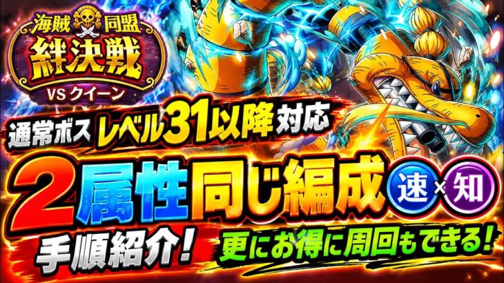 [トレクル]絆決戦VSクイーン通常ボス編成紹介！2属性同じ編成同じ手順で超簡単！ベリーも豊富にゲット！[OPTC][絆決戦]