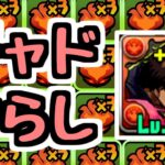 【チャド艦隊】火2列ずらすだけ編成【パズドラ】