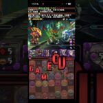 爆弾消すな！！【パズドラ】