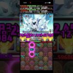 協力！スノーフィー 降臨!【超重力】風雪獣∞級【アシスト無効】　#パズル　#パズドラ　#降臨　#イベント　#超重力