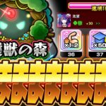 【モンストLIVE🔴】ラブライブの道、流石にうまかっちゃん【モンスターストライク】【ラブライブコラボ】