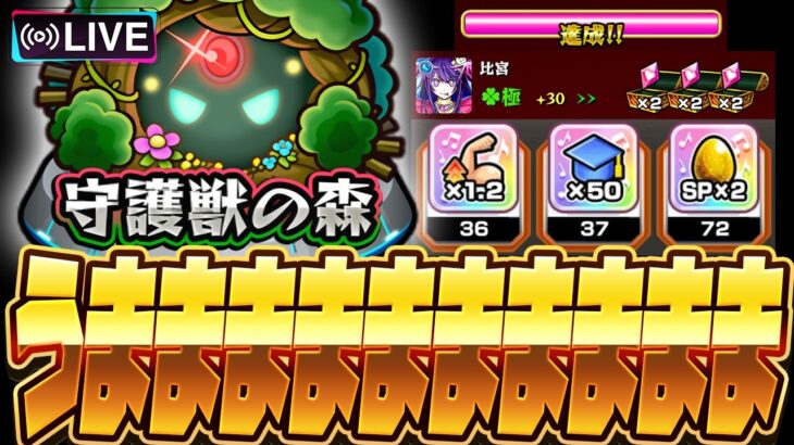 【モンストLIVE🔴】ラブライブの道、流石にうまかっちゃん【モンスターストライク】【ラブライブコラボ】