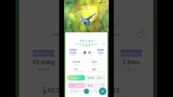 ポケGO朝一での#ラティオス 【ポケモンGO】