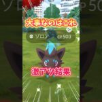 【ポケモンGO】色100狙える！やっぱり大事なのはこれ！#Pokémon #Zorua #shorts
