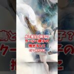 この親子好きだわ…クーシーと母様は両方推せる【メメントモリ】