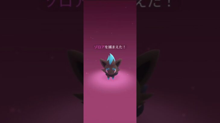 ゾロアコミニティイデイを3分やったら ？ポケモンgo
