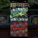 俺だって夢を見たいよ【パズドラ】
