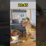 【メメントモリ】グラバトにてナフトvsフェアリーテイル中のナフト