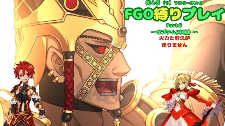 【FGO】敵の攻撃が痛い？なら、スキルでダメージ以上の回復をし続ければいいじゃない。　初心者（？）マスターが行くFGO縛りプレイ Part5【VOICEVOX実況/解説】