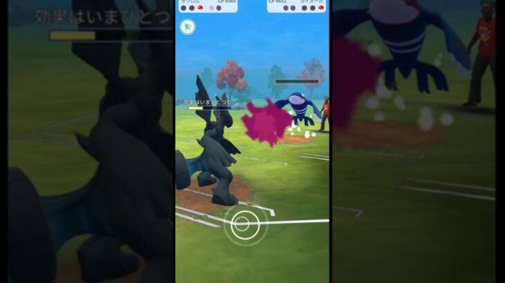 最後魅せる漢（@ ゼクロム）【マスターリーグ】【ポケモンGO】【GOバトルリーグ】