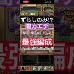 『闇カエデ』ずらし最強編成【パズドラ】