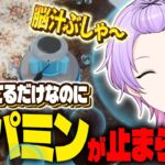 【 絨毯を洗うゲーム 】寝れないアナタといっしょに雑談交えて目と音で楽しむ配信🌈【 #枢らす #個人vtuber 】